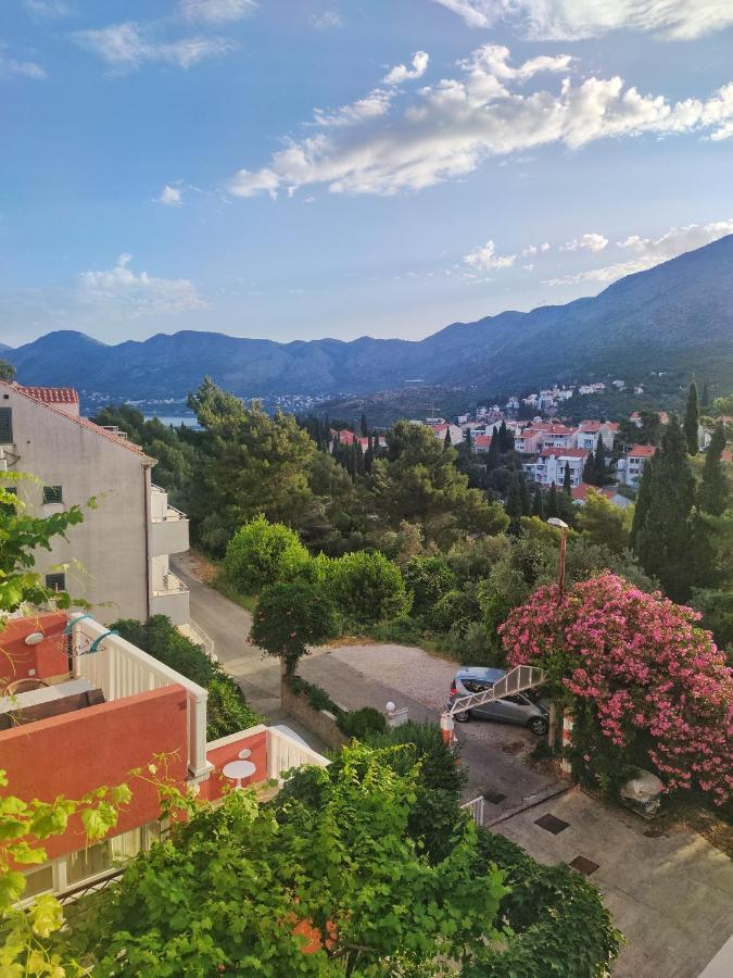 Villa Kipre Cavtat Kültér fotó
