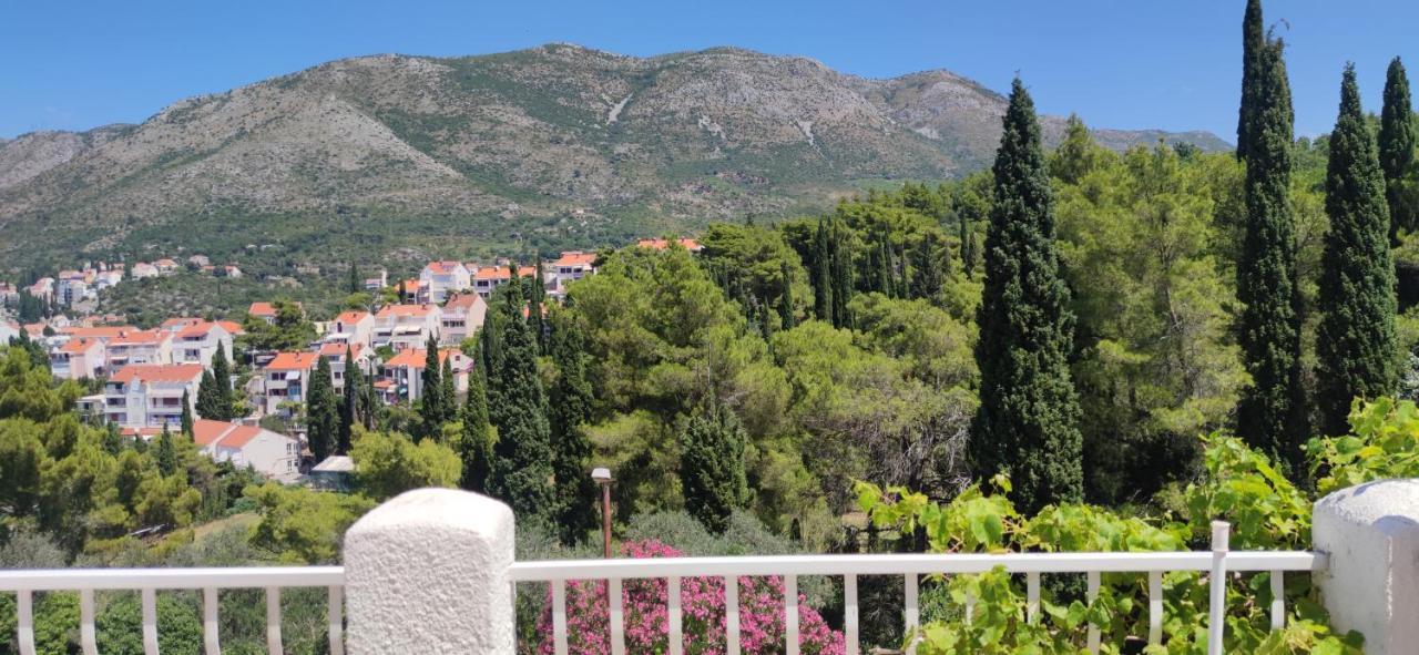 Villa Kipre Cavtat Szoba fotó