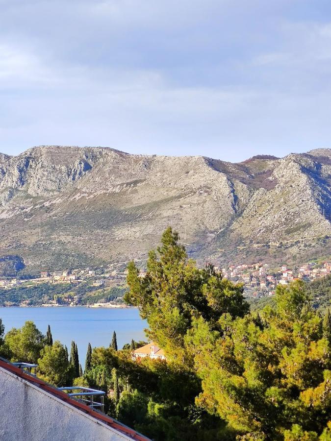 Villa Kipre Cavtat Kültér fotó