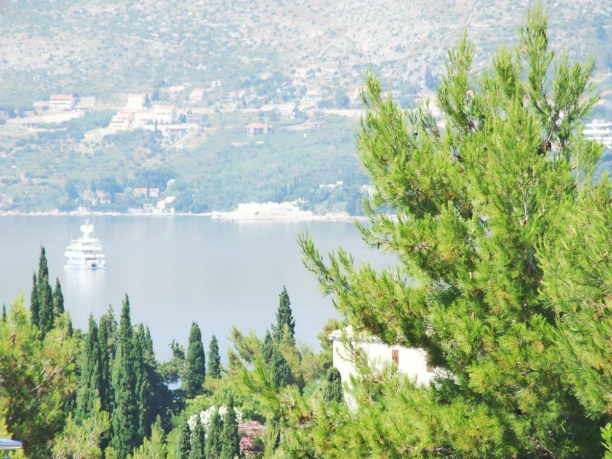 Villa Kipre Cavtat Kültér fotó
